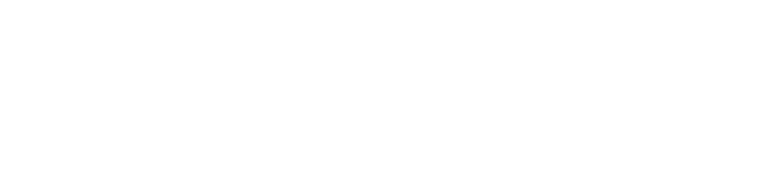 NelsonNet logo